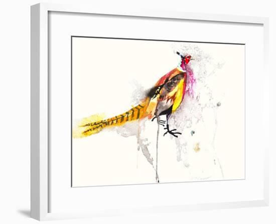 Pheasant-Karin Johannesson-Framed Art Print