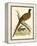 Pheasant-Beverley R. Morris-Framed Premier Image Canvas