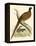 Pheasant-Beverley R. Morris-Framed Premier Image Canvas