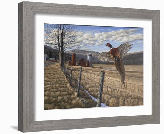 Pheasant-Bruce Dumas-Framed Giclee Print