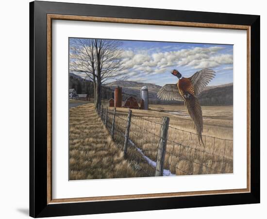 Pheasant-Bruce Dumas-Framed Giclee Print