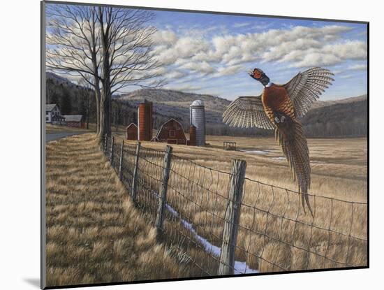 Pheasant-Bruce Dumas-Mounted Giclee Print