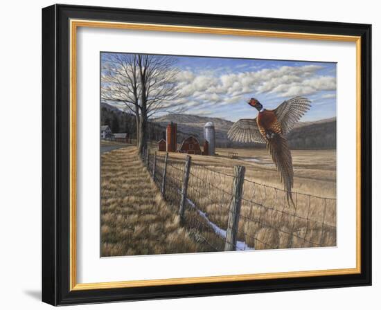 Pheasant-Bruce Dumas-Framed Giclee Print