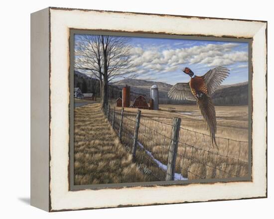 Pheasant-Bruce Dumas-Framed Premier Image Canvas