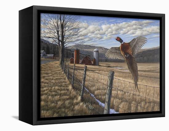 Pheasant-Bruce Dumas-Framed Premier Image Canvas