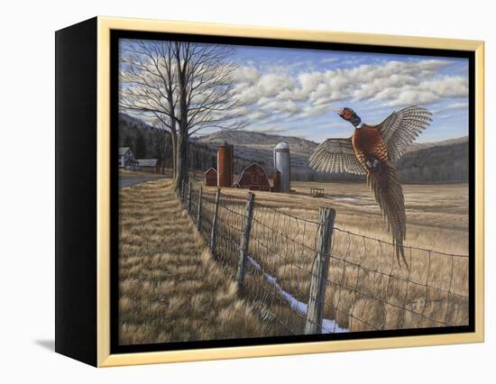 Pheasant-Bruce Dumas-Framed Premier Image Canvas