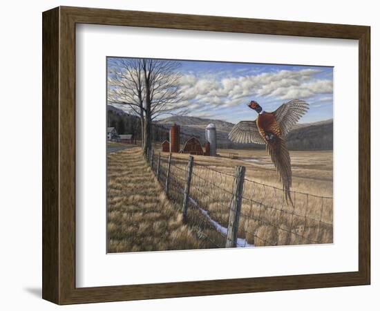 Pheasant-Bruce Dumas-Framed Giclee Print