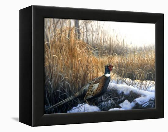 Pheasant-Rusty Frentner-Framed Premier Image Canvas