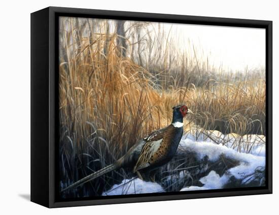 Pheasant-Rusty Frentner-Framed Premier Image Canvas