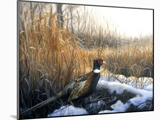 Pheasant-Rusty Frentner-Mounted Giclee Print