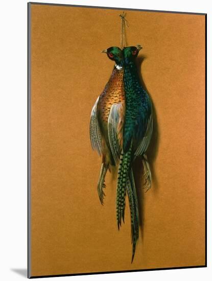 Pheasants, 1984-Lincoln Taber-Mounted Giclee Print