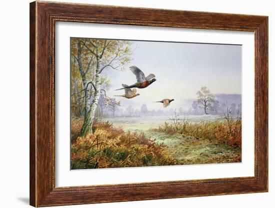 Pheasants in Flight-Carl Donner-Framed Giclee Print