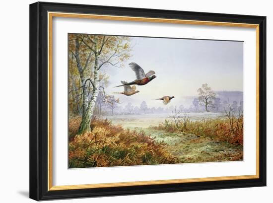 Pheasants in Flight-Carl Donner-Framed Giclee Print