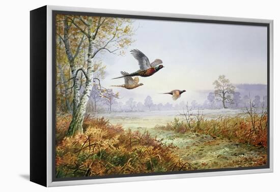 Pheasants in Flight-Carl Donner-Framed Premier Image Canvas