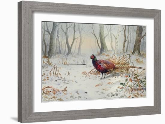 Pheasants in Snow-Carl Donner-Framed Giclee Print