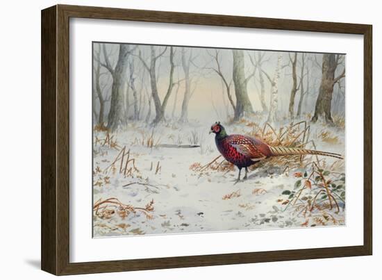 Pheasants in Snow-Carl Donner-Framed Giclee Print