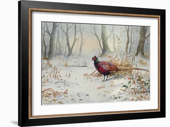 Pheasants in Snow-Carl Donner-Framed Giclee Print