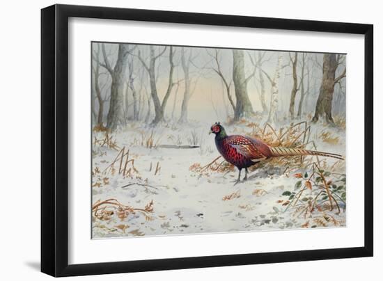 Pheasants in Snow-Carl Donner-Framed Giclee Print