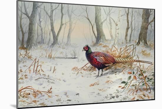 Pheasants in Snow-Carl Donner-Mounted Giclee Print