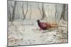 Pheasants in Snow-Carl Donner-Mounted Giclee Print