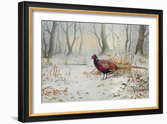 Pheasants in Snow-Carl Donner-Framed Giclee Print
