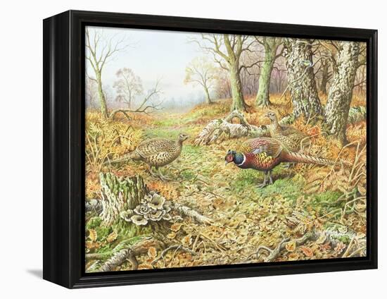 Pheasants with Blue Tits-Carl Donner-Framed Premier Image Canvas