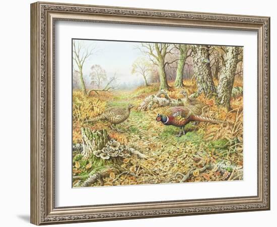 Pheasants with Blue Tits-Carl Donner-Framed Giclee Print