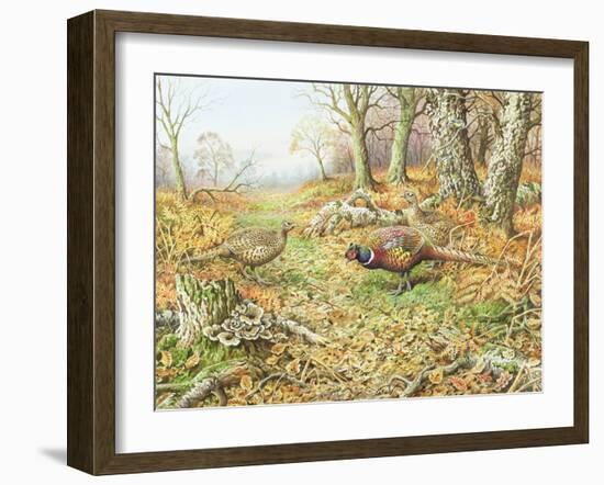 Pheasants with Blue Tits-Carl Donner-Framed Giclee Print