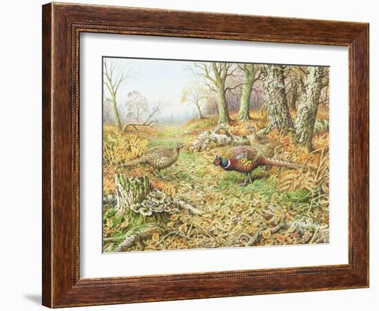 Pheasants with Blue Tits-Carl Donner-Framed Giclee Print