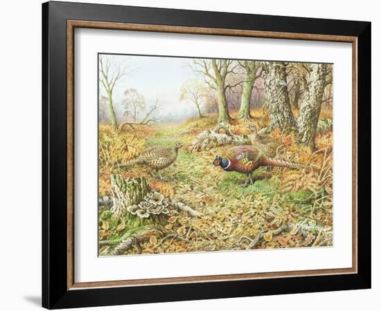 Pheasants with Blue Tits-Carl Donner-Framed Giclee Print