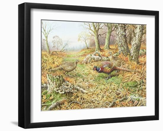 Pheasants with Blue Tits-Carl Donner-Framed Giclee Print