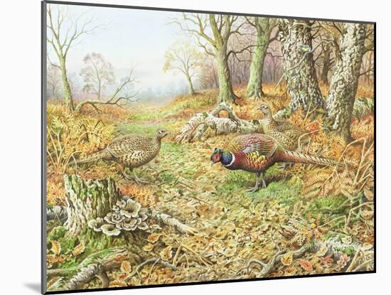 Pheasants with Blue Tits-Carl Donner-Mounted Giclee Print