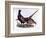 Pheasants-Prideaux John Selby-Framed Giclee Print