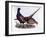 Pheasants-Prideaux John Selby-Framed Giclee Print