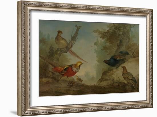 Pheasants-Aert Schouman-Framed Art Print