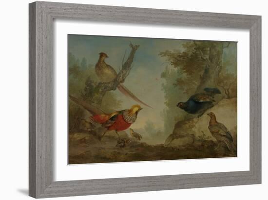 Pheasants-Aert Schouman-Framed Art Print