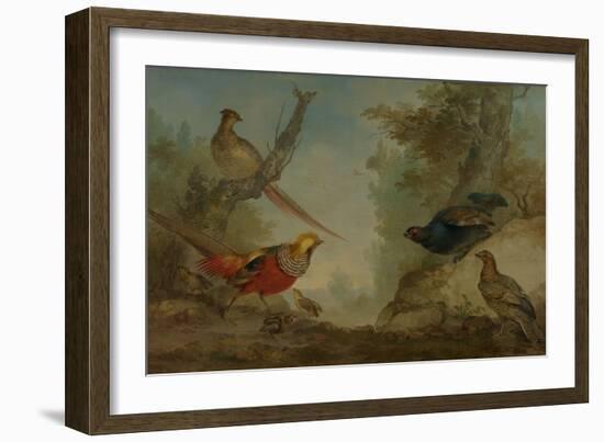 Pheasants-Aert Schouman-Framed Art Print