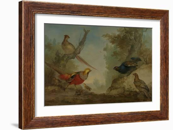 Pheasants-Aert Schouman-Framed Art Print