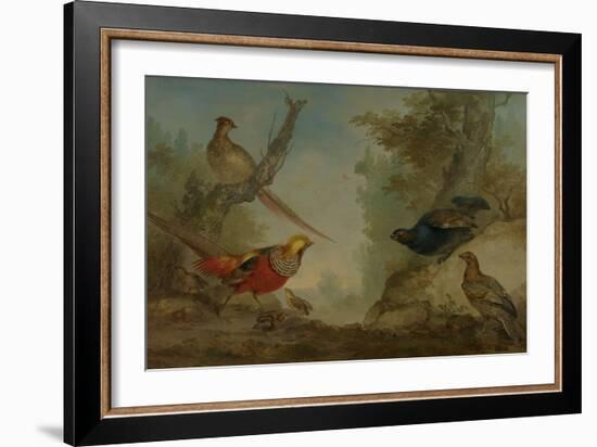 Pheasants-Aert Schouman-Framed Art Print