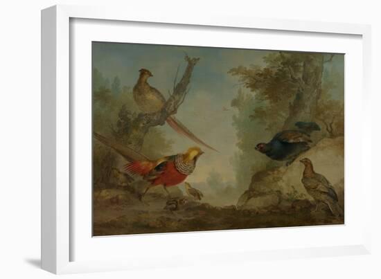 Pheasants-Aert Schouman-Framed Art Print