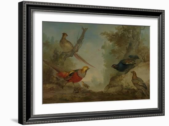 Pheasants-Aert Schouman-Framed Art Print