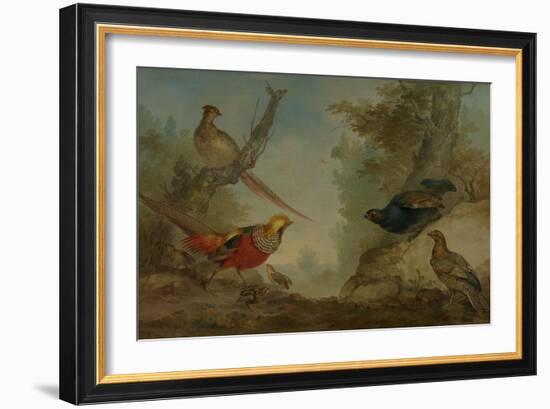 Pheasants-Aert Schouman-Framed Art Print