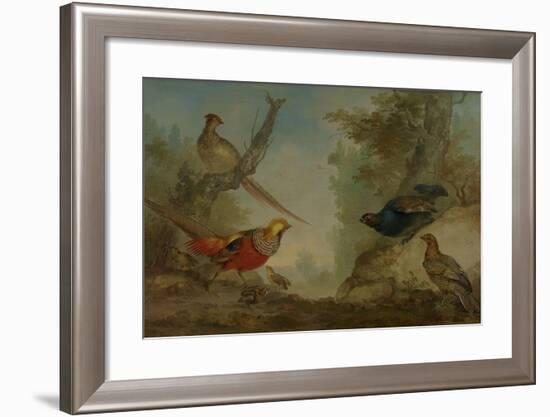 Pheasants-Aert Schouman-Framed Art Print