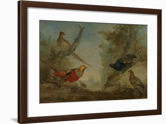 Pheasants-Aert Schouman-Framed Art Print