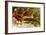 Pheasants-F.W. Kuhnert-Framed Art Print