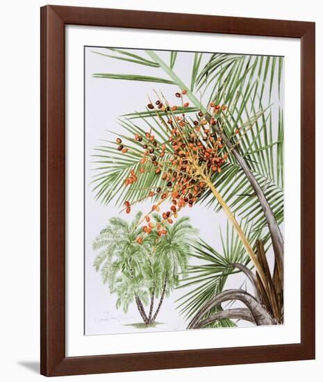 Pheonix Palm-Marion Sheehan-Framed Collectable Print