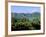 Phi Phi Don, Ko Phi Phi, Krabi Province, Thailand, Southeast Asia-Bruno Morandi-Framed Photographic Print