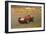 Phil Hill in Action in a Ferrari, Dutch Grand Prix, Zandvoort, 1959-null-Framed Photographic Print