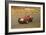 Phil Hill in Action in a Ferrari, Dutch Grand Prix, Zandvoort, 1959-null-Framed Photographic Print