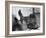 Phil the Gorilla Sleeping on His Back at the St. Louis Zoo-Wallace Kirkland-Framed Photographic Print